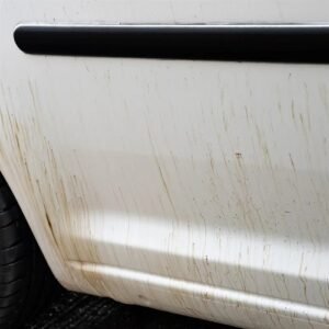 Tẩy Nhựa Đường Dính Vào Xe | Gói Detailing Làm Sạch Chuyên Sâu Tại Quận 2