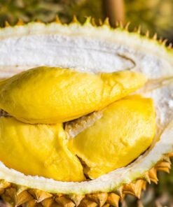 Khử mùi sầu riêng & kháng khuẩn mùa mưa tại Quận 2, TP.HCM